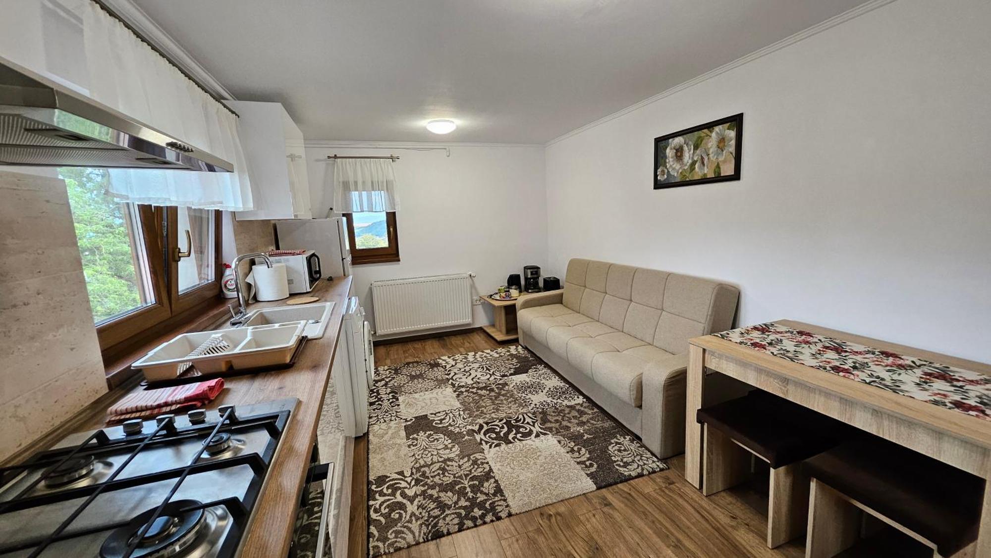 Matei Residence ブラショフ エクステリア 写真