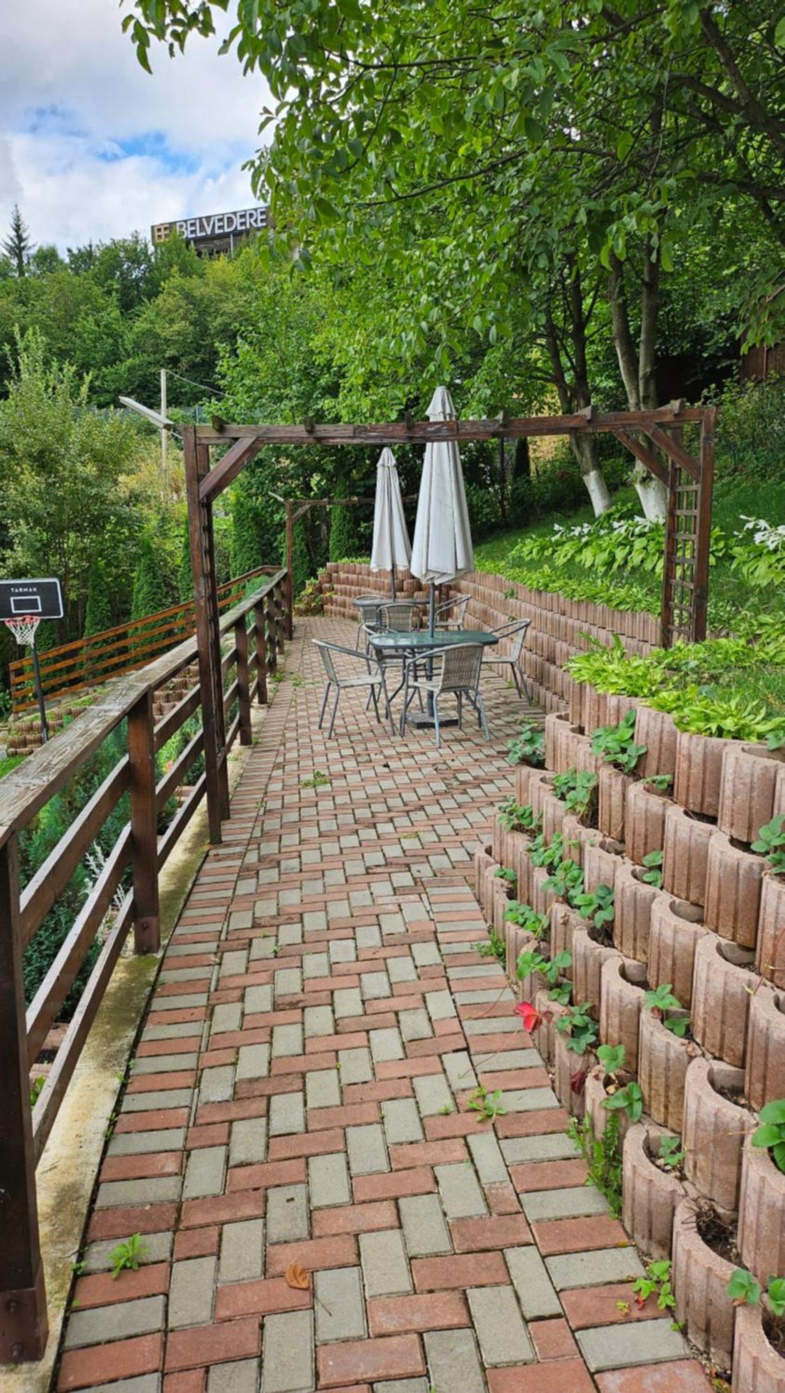 Matei Residence ブラショフ エクステリア 写真